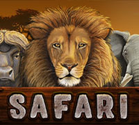 Safari